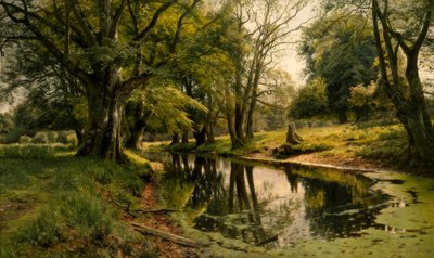 Stadig vand i skoven af Peder Monsted