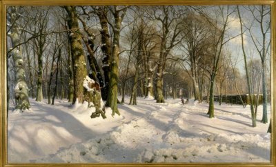 Snedækket vinterskov i sollys af Peder Monsted