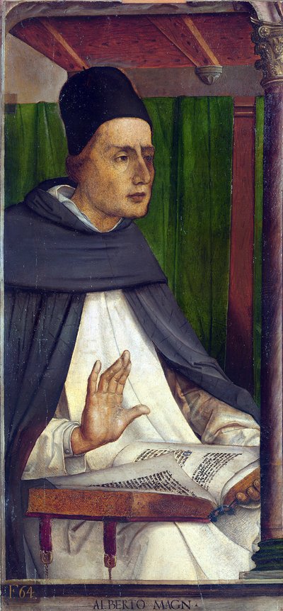 Sankt Albert den Store (1205-1280), (Albert Magnus, Albrecht von Bollstadt, Albert de Cologne) - Albertus Magnus par Berruguete, Pedro (1450-1503). Olie på træ, størrelse: 116x53, ca. 1473-1475, Galleria nazionale delle Marche, Urbino af Pedro Berruguete