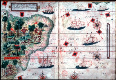 Kort over Brasilien af de portugisiske navigatører Pedro Reinel og Lopo Homen, c1525. af Pedro Reinel