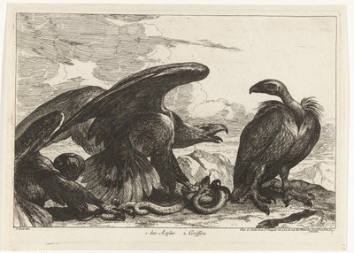 Grib og en ørn med slange 1. des Aigles 2. Griffon (titel på objekt) Fugle fra menageriet i Versailles (serietitel) af Peeter Boel (attributed to)