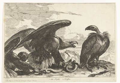 Grib og en ørn med slange 1. des Aigles 2. Griffon (titel på objekt) Fugle fra menageriet i Versailles (serietitel) af Peeter Boel (attributed to)