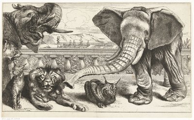 Elefanter, løver og loser i Versailles haver af Peeter Boel (attributed to)
