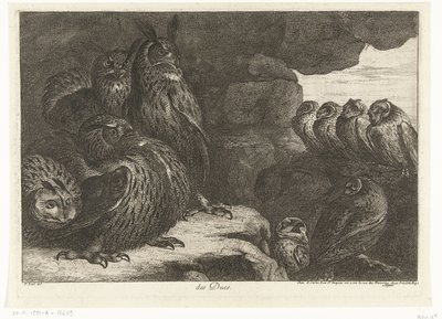 Ugler i en hule des Ducs (titel på objekt) Fugle fra menageriet i Versailles (serietitel) af Peeter Boel (attributed to)