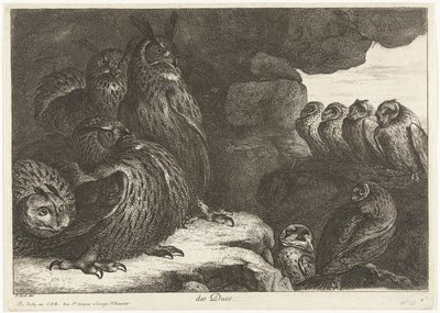 Ugler i en hule des Ducs (titel på objekt) Fugle fra menageriet i Versailles (serietitel) af Peeter Boel (attributed to)