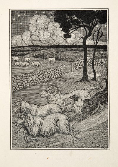 A Canine Sheep Stealer, fra A Hundred Anecdotes of Animals, pub. 1924 af Percy J. Billingshurst