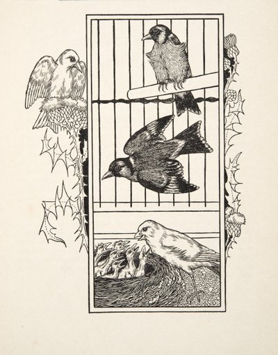 A Charitable Canary, fra A Hundred Anecdotes of Animals, pub. 1924 af Percy J. Billingshurst
