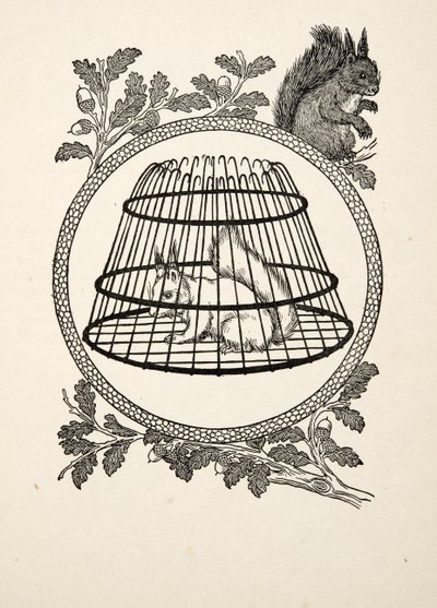 A Refugee Squirrel, fra A Hundred Anecdotes of Animals, pub. 1924 af Percy J. Billingshurst