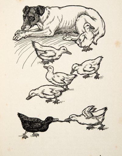 A Singular Foster-Mother, fra A Hundred Anecdotes of Animals, udgivet af A Hundred Anecdotes of Animals, pub. 1924 af Percy J. Billingshurst