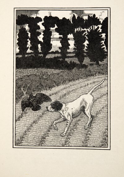 Deceiving the Fowler, fra A Hundred Anecdotes of Animals, pub. 1924 af Percy J. Billingshurst