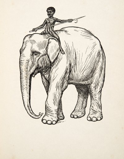 Remorse, fra A Hundred Anecdotes of Animals, pub. 1924 af Percy J. Billingshurst
