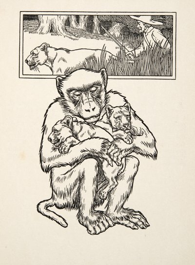 Soliciting Succour, fra A Hundred Anecdotes of Animals, pub. 1924 (gravering) af Percy J. Billingshurst
