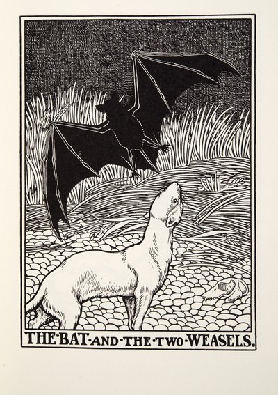 Flagermusen og de to væsler, fra Fontaine Fables, pub. 1905 af Percy J. Billingshurst