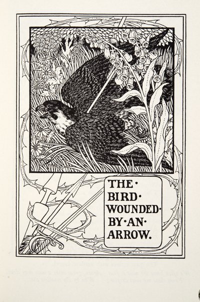 Fuglen, der blev såret af en pil, fra Fontaine Fables, pub. 1905 af Percy J. Billingshurst