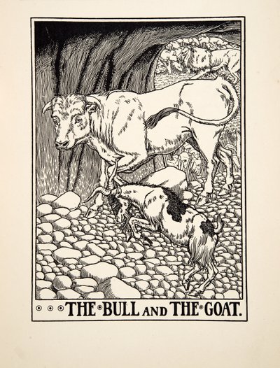 The Bull and the Goat, fra A Hundred Fables of Aesop, pub.1903 (gravering) af Percy J. Billingshurst