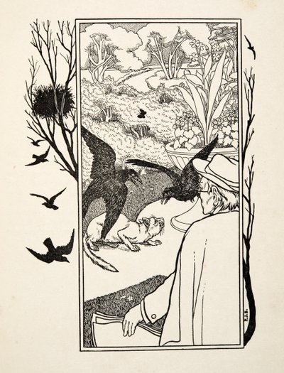 The Cat and Crows, fra A Hundred Anecdotes of Animals, pub. 1924 (gravering) af Percy J. Billingshurst