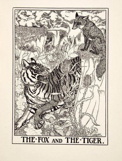 The Fox and the Tiger, fra A Hundred Fables of Aesop, pub.1903 (gravering) af Percy J. Billingshurst