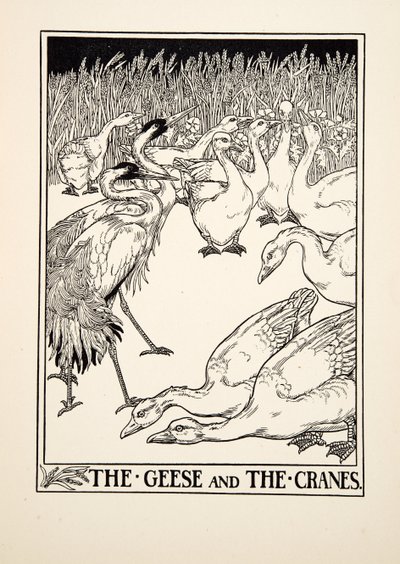The Geese and the Cranes, fra A Hundred Fables of Aesop, pub.1903 af Percy J. Billingshurst