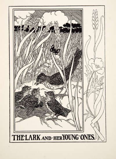 Lærken og hendes unge, fra A Hundred Fables of Aesop, pub.1903 (gravering) af Percy J. Billingshurst