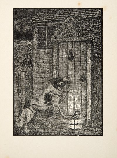 The Newfoundland Dog, fra A Hundred Anecdotes of Animals, pub. 1924 af Percy J. Billingshurst