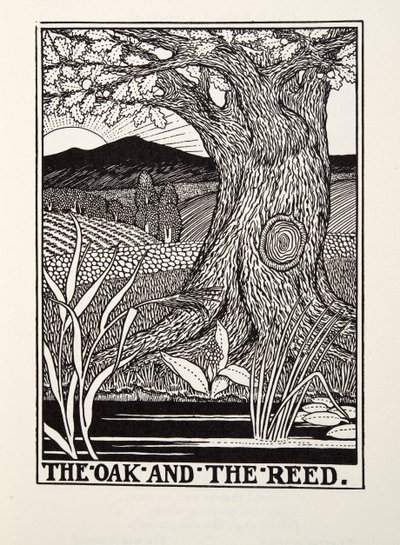 The Oak and the Reed, fra Fontaine Fables, pub. 1905 af Percy J. Billingshurst
