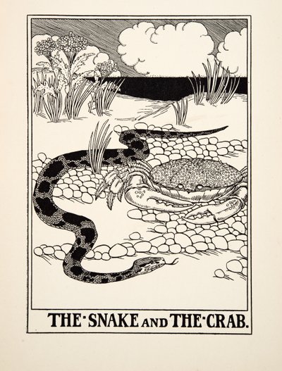The Snake and the Crab, fra A Hundred Fables of Aesop, pub.1903 af Percy J. Billingshurst
