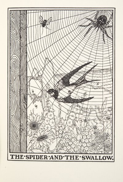 Edderkoppen og svalen, fra Fontaine Fables, pub. 1905 af Percy J. Billingshurst