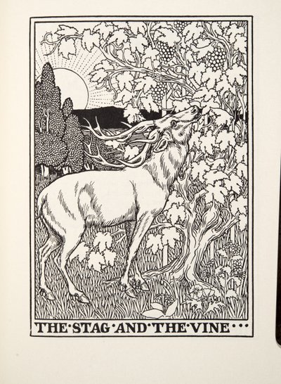 The Stag and the Vine, fra Fontaine Fables, pub. 1905 af Percy J. Billingshurst