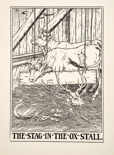 The Stag in the Ox Stall, fra A Hundred Fables of Aesop, pub.1903 (gravering) af Percy J. Billingshurst