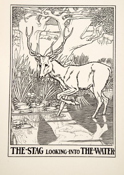 The Stag looking into the Water, fra A Hundred Fables of Aesop, pub.1903 (gravering) af Percy J. Billingshurst