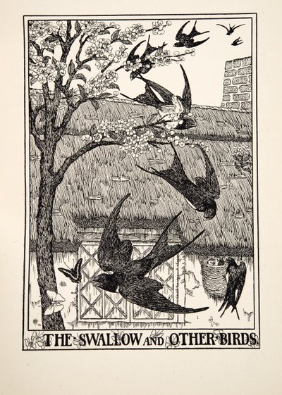 The Swallow and Other Birds, fra A Hundred Fables of Aesop, pub.1903 af Percy J. Billingshurst