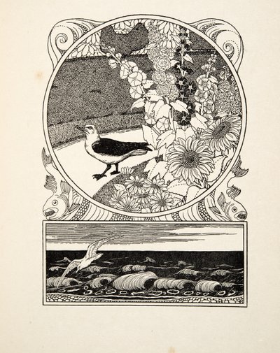 The Tame Seagull, fra A Hundred Anecdotes of Animals, pub. 1924 (gravering) af Percy J. Billingshurst