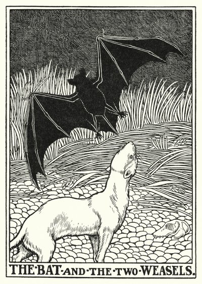 Fables of La Fontaine: Flagermusen og de to væsler (litho) af Percy James Billinghurst