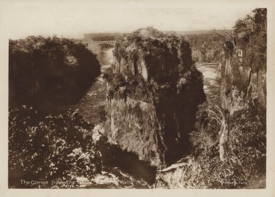 The Gorge from the Hotel, Victoria Falls (s/h foto) af Percy M. Clark