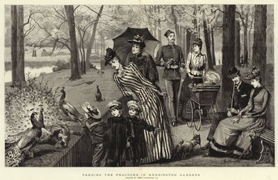 Fodring af påfuglene i Kensington Gardens (gravering) af Percy Macquoid