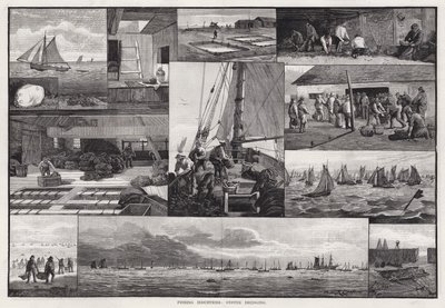 Fiskeriindustrier, østersudgravning (gravering) af Percy Robert Craft