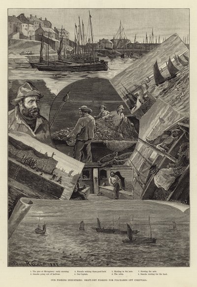 Vores fiskeindustri: Drivnetfiskeri efter pilchards ud for Cornwall af Percy Robert Craft