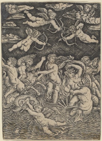 Galateas triumf af Peregrino da Cesena