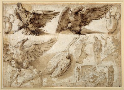 Studier af en ørn, en gås, en kande, en krukke og af menneskelige figurer, herunder to til en Rape of Lucretia (pen & brunt blæk med brun vask på hvidt trådlagt papir) af Perino del Vaga