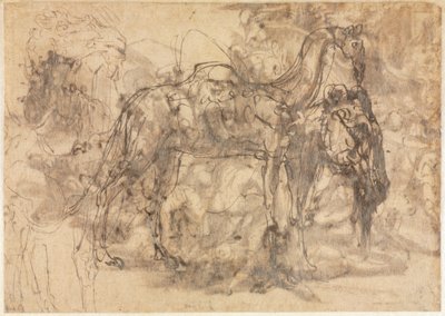 Skitser af dyr verso, ca. 154547. af Perino del Vaga