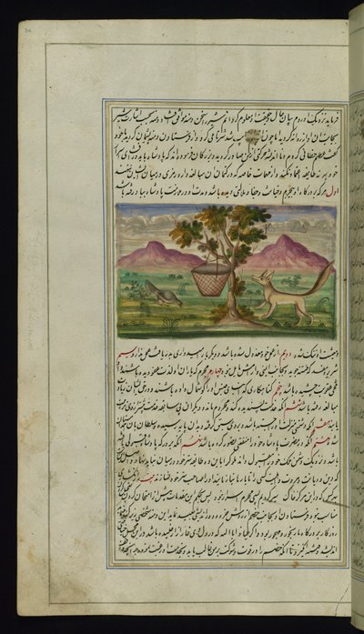 En ræv og en tromme fra Lights of Canopus af Persian School