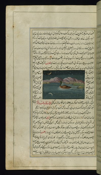 En gås og en refleksion af månen i vandet fra Lights of Canopus af Persian School