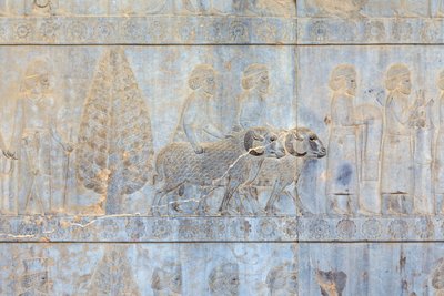 Basrelieffer ved væggene i Apadana-paladset og -trappen, Persepolis, Iran (sandsten) af Persian School