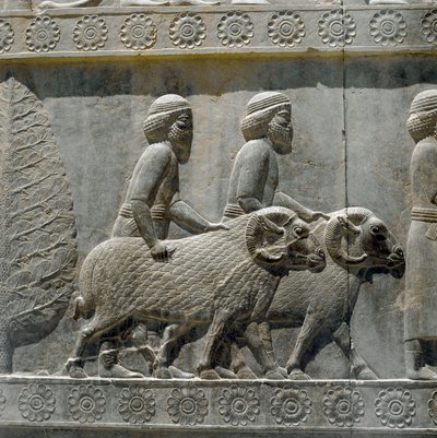 Sogdians bringer gaver til Darius I. Relieffer af den østlige trappe af Apadana, 6. århundrede f.Kr af Persian School