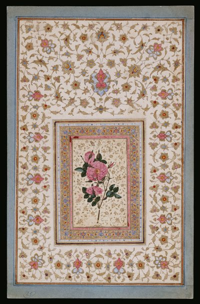 Studie af en Rose af Persian School