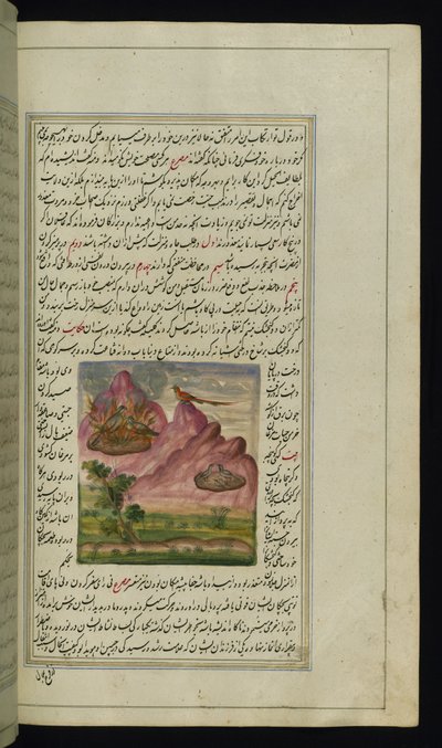To gråspurve sat i brand og en falk fra Lights of Canopus af Persian School