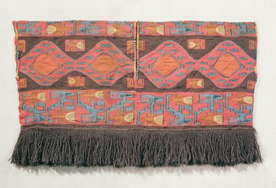 Skjorte af interlock uldtæppe, Nazca Culture (tekstil) af Peruvian School