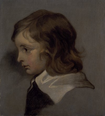 Hoved af en ung dreng (olie på lærred) af Peter (follower of) Lely