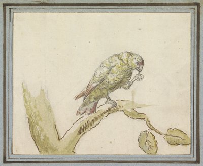 Papegøje på en gren af ​​et træ af Peter Casteels (III)