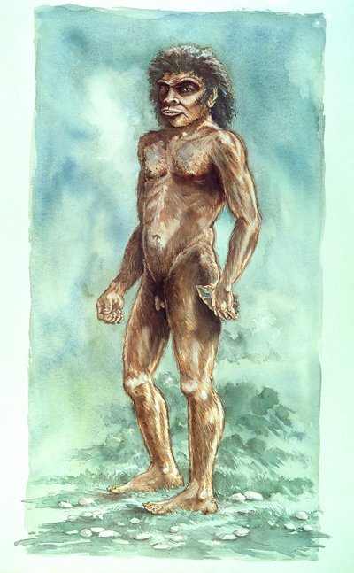 Boxgrove Man, forhistorisk, 1990-2010 af Peter Dunn